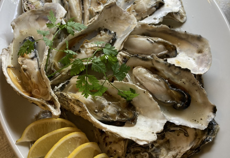 OYSTER BAR